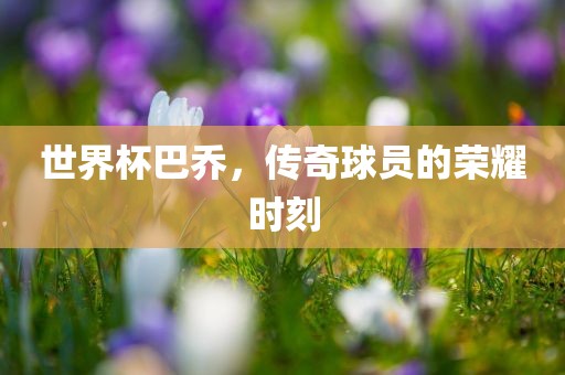 世界杯巴乔，传奇球员的荣耀时刻