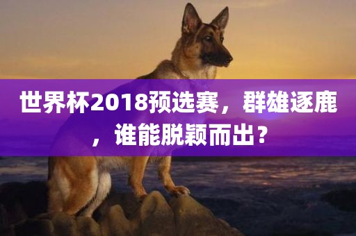 世界杯2018预选赛，群雄逐鹿，谁能脱颖而出？眉山市正发家政服务有限公司