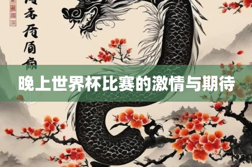 晚上世界杯比赛的激情与期待