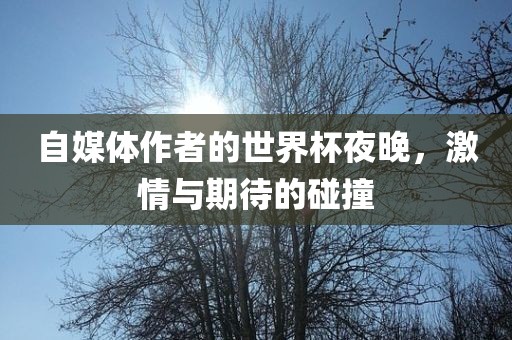 自媒体作者的世界杯夜晚，激情与期待的碰撞