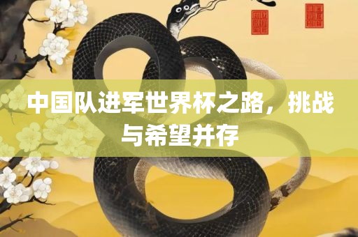 中国队进军世界杯之路，挑战与希望并存