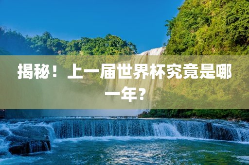 揭秘！上一届世界杯究竟是哪一年？眉山市正发家政服务有限公司
