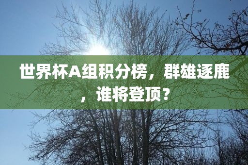 世界杯A组积分榜，群雄逐鹿，谁将登顶？眉山市正发家政服务有限公司