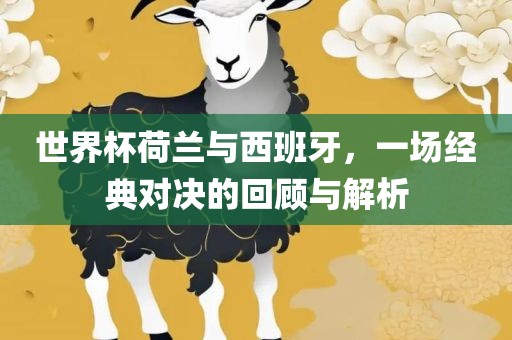 世界杯荷兰与西班牙，一场经典对决的回顾与解析