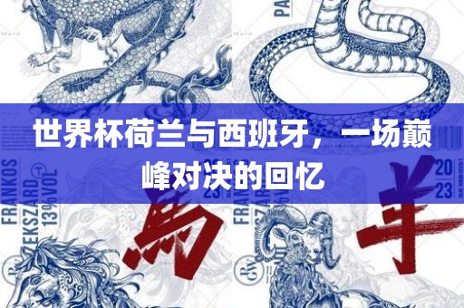 世界杯荷兰与西班牙，一场巅峰对决的回忆