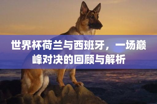 世界杯荷兰与西班牙，一场巅峰对决的回顾与解析