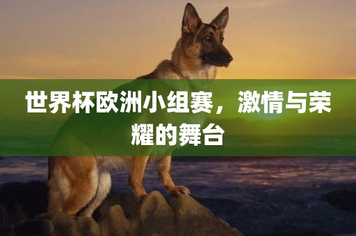 世界杯欧洲小组赛，激情与荣耀的舞台眉山市正发家政服务有限公司