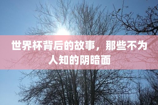 世界杯背后的故事，那些不为人知的眉山市正发家政服务有限公司阴暗面