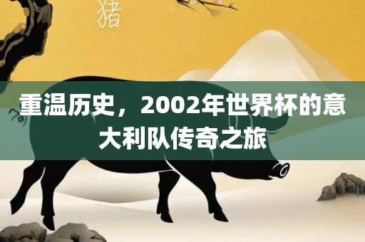 重温历史，2002年世界杯的意大利队传奇之旅