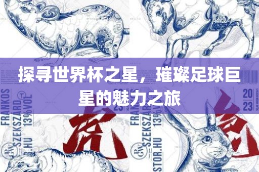 探寻世界杯之星，璀璨足球巨星的魅力之旅