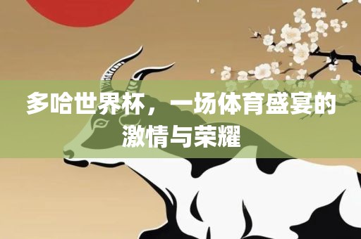 多哈世界杯，一场体育盛宴的激情与荣耀