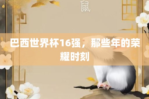 巴西世界杯16强，那些年的荣耀时刻眉山市正发家政服务有限公司