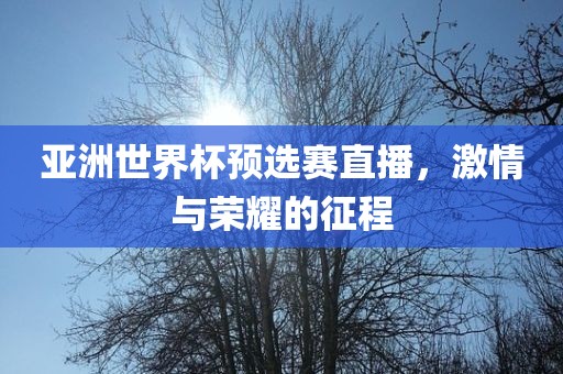 亚洲世界杯预选赛直播，激情与荣耀的征程眉山市正发家政服务有限公司