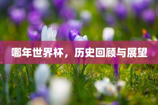 哪年世界杯，历史回顾与展望眉山市正发家政服务有限公司