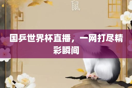 国乒世界杯直播，一网打尽精彩瞬间