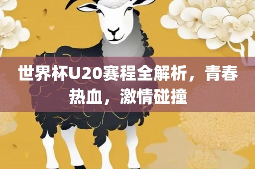世界杯U20赛程全解析，青春热血，激情碰撞