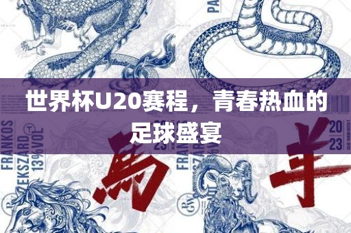 世界杯U20赛程，青春热血的足球盛宴