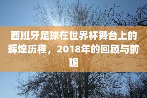 西班牙足球在世界杯舞台上的辉煌历程，2018年的回顾与前瞻眉山市正发家政服务有限公司