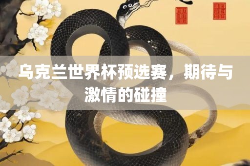 乌克兰世界杯预选赛，期待与激情的碰撞眉山市正发家政服务有限公司