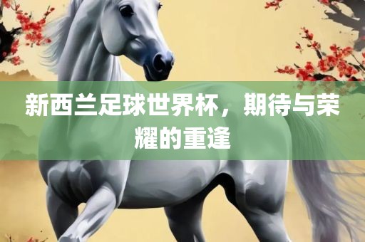 新西兰足球世界杯，期待与荣耀的重逢