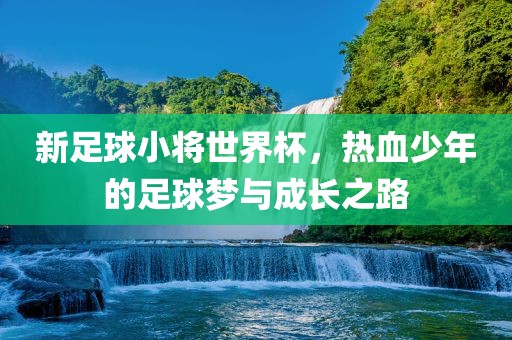 新足球小将世界杯，热血少年的足球梦与成长之路
