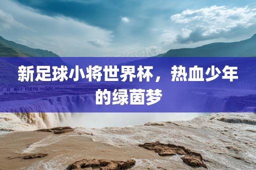 新足球小将世界杯，热血少年的绿茵梦眉山市正发家政服务有限公司