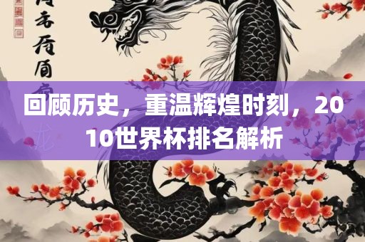 回顾历史，重温辉煌时刻，2010世界杯排名解析