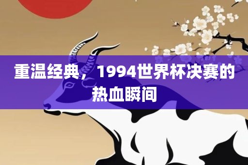 重温经典，1994世界杯决赛的热血瞬间眉山市正发家政服务有限公司