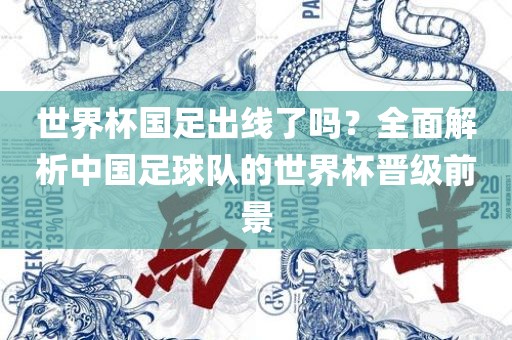世界杯国足出线了吗？全面解析中国足球队的世界杯晋级前景眉山市正发家政服务有限公司