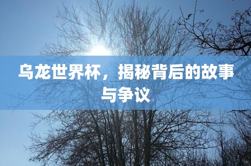 乌龙世界杯，揭秘背后的故事与争议眉山市正发家政服务有限公司