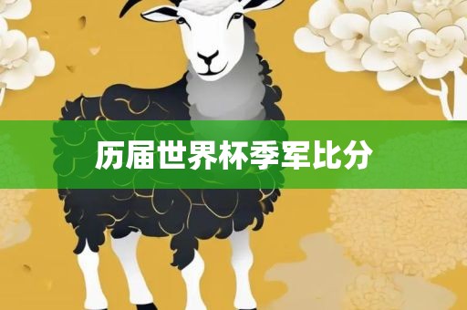 历眉山市正发家政服务有限公司届世界杯季军比分