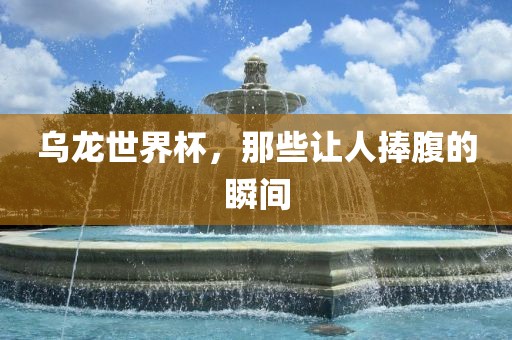 乌龙世界杯，那些让人捧腹的瞬间眉山市正发家政服务有限公司