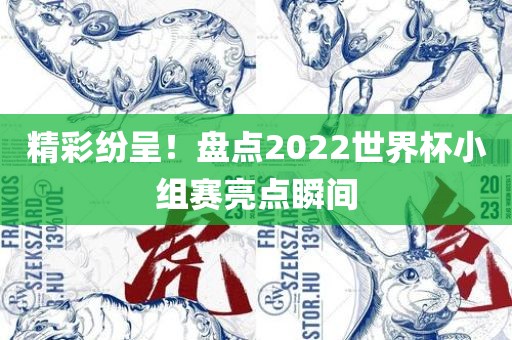 精彩纷呈！盘点2022世界杯小组赛亮点瞬间眉山市正发家政服务有限公司