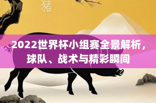2022世界杯小组赛全景解析，球队、战术与精彩瞬间眉山市正发家政服务有限公司