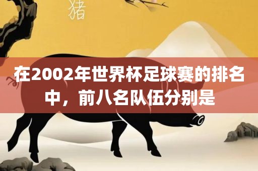 在2002年世界杯足球赛的排名中，前八名队伍分别是眉山市正发家政服务有限公司