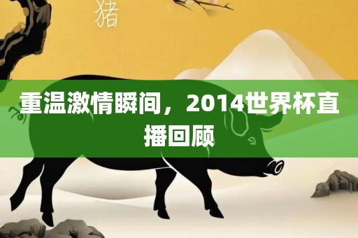 重温激情瞬间，2014世界杯直播回顾