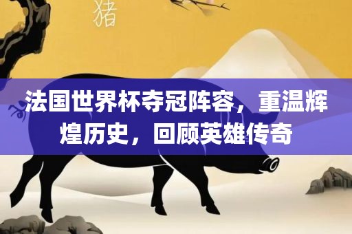 法国世界杯夺冠阵容，重温辉煌历史，回顾英雄传奇