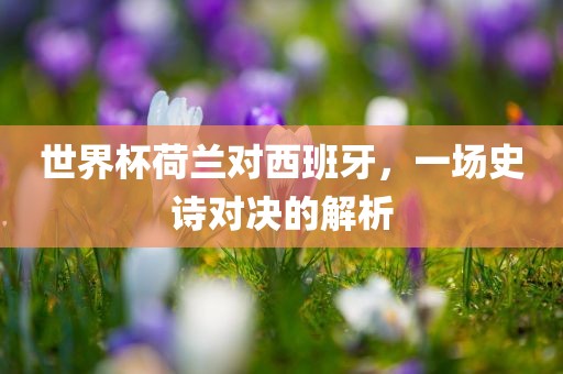 世界杯荷兰对西班牙，一场史诗对决的解析