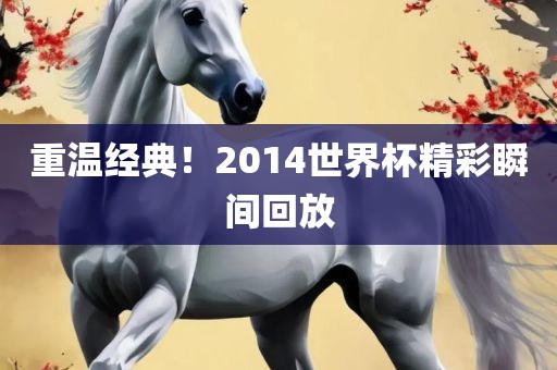 重温经典！2014世界杯精彩瞬间回放