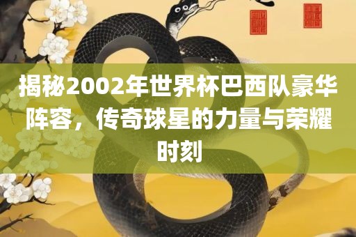 揭秘2002年世界杯巴西队豪华阵容，传奇球星的力量与荣耀时刻眉山市正发家政服务有限公司