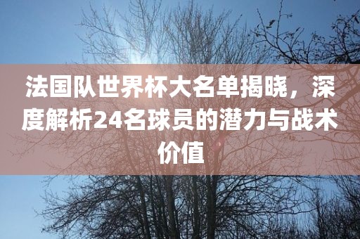 法国队世界杯大名单揭晓，深度解析24名球员的潜力与战术价值眉山市正发家政服务有限公司