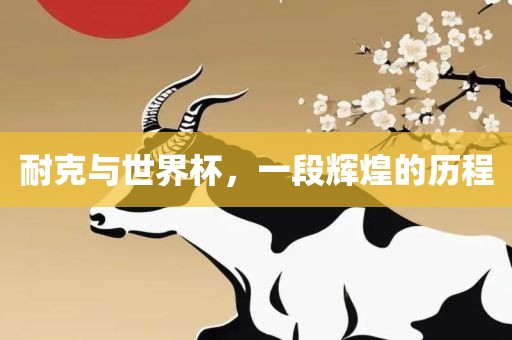 耐克与世界杯，一段辉煌的历程