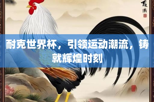 眉山市正发家政服务有限公司耐克世界杯，引领运动潮流，铸就辉煌时刻