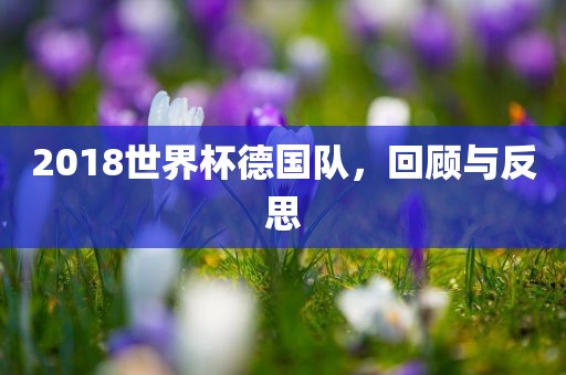 2018世界杯德国队，回顾与反思