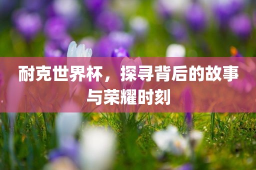 耐克世界杯，探寻背后的眉山市正发家政服务有限公司故事与荣耀时刻