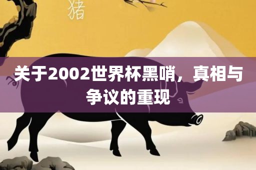 关于2002世界杯黑哨，真相与争议的重现