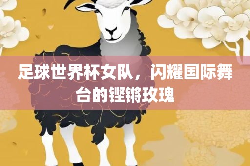 huamei 第3页
