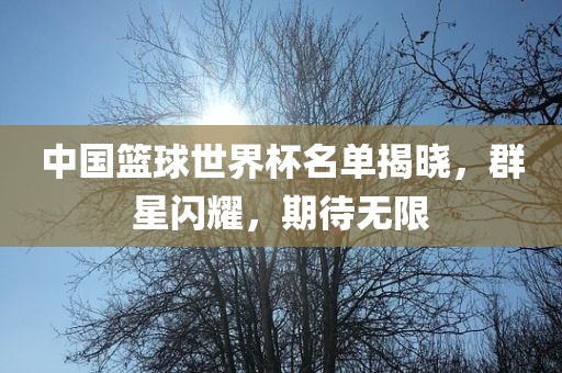 中国篮球世界杯名单揭晓，群星闪耀，期待无限