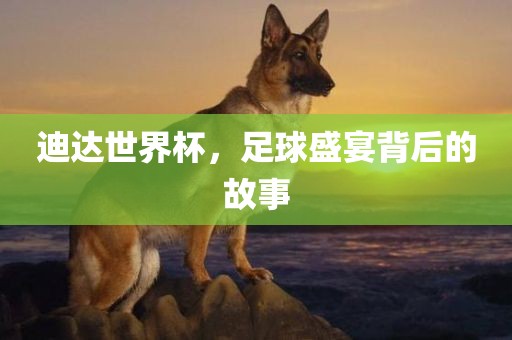 迪达世界杯，足球盛宴背后的故事眉山市正发家政服务有限公司