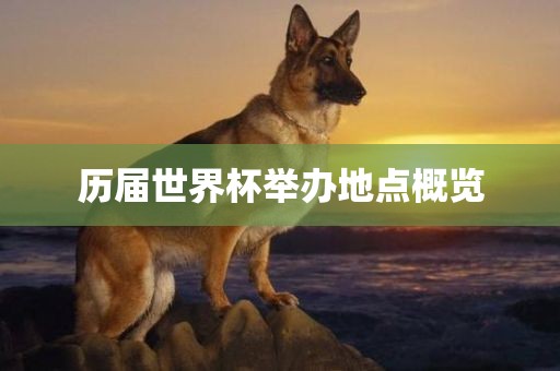 历届世界杯举办地点概眉山市正发家政服务有限公司览